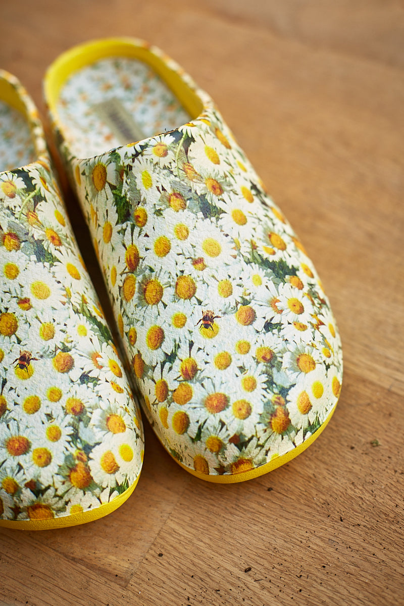 Havesko 'Daisy Lemon'